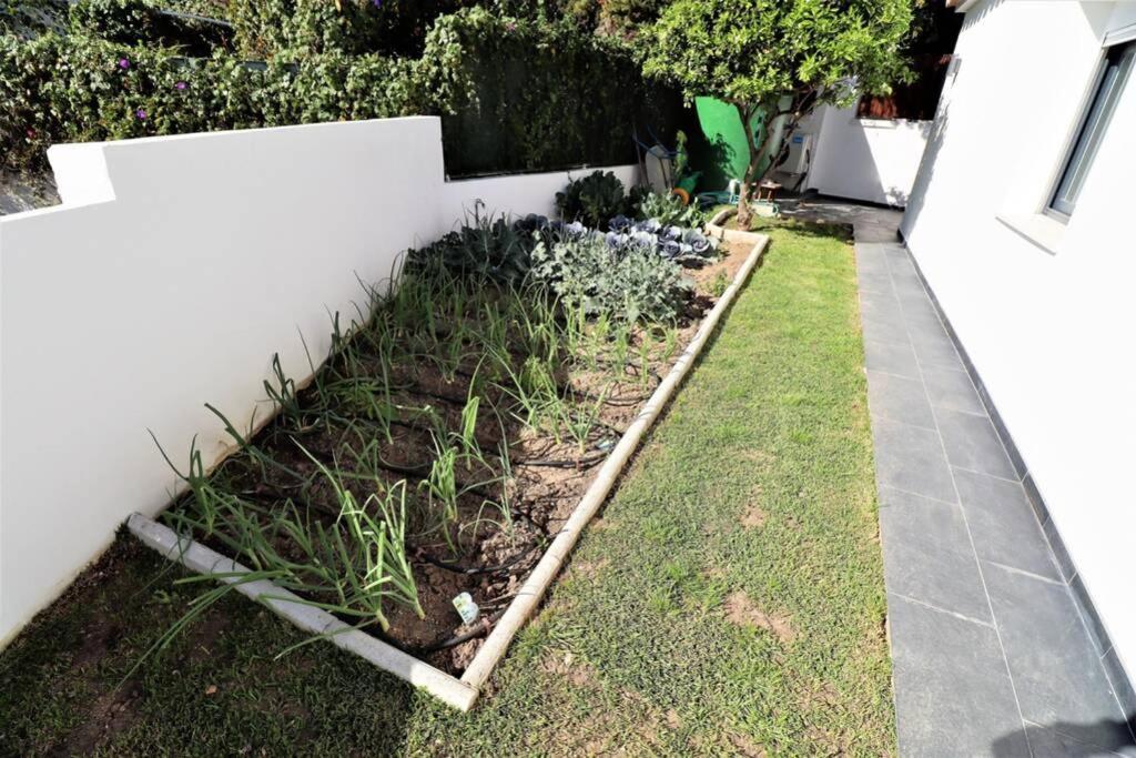 Vila Hoyo 19 Marbella Exteriér fotografie